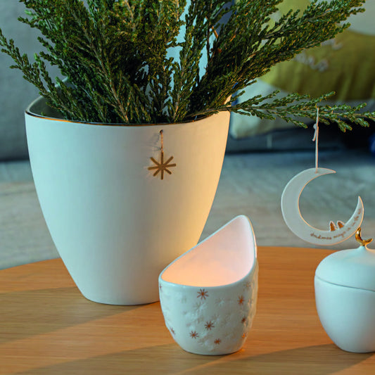 Night Sky Lifestyle Image