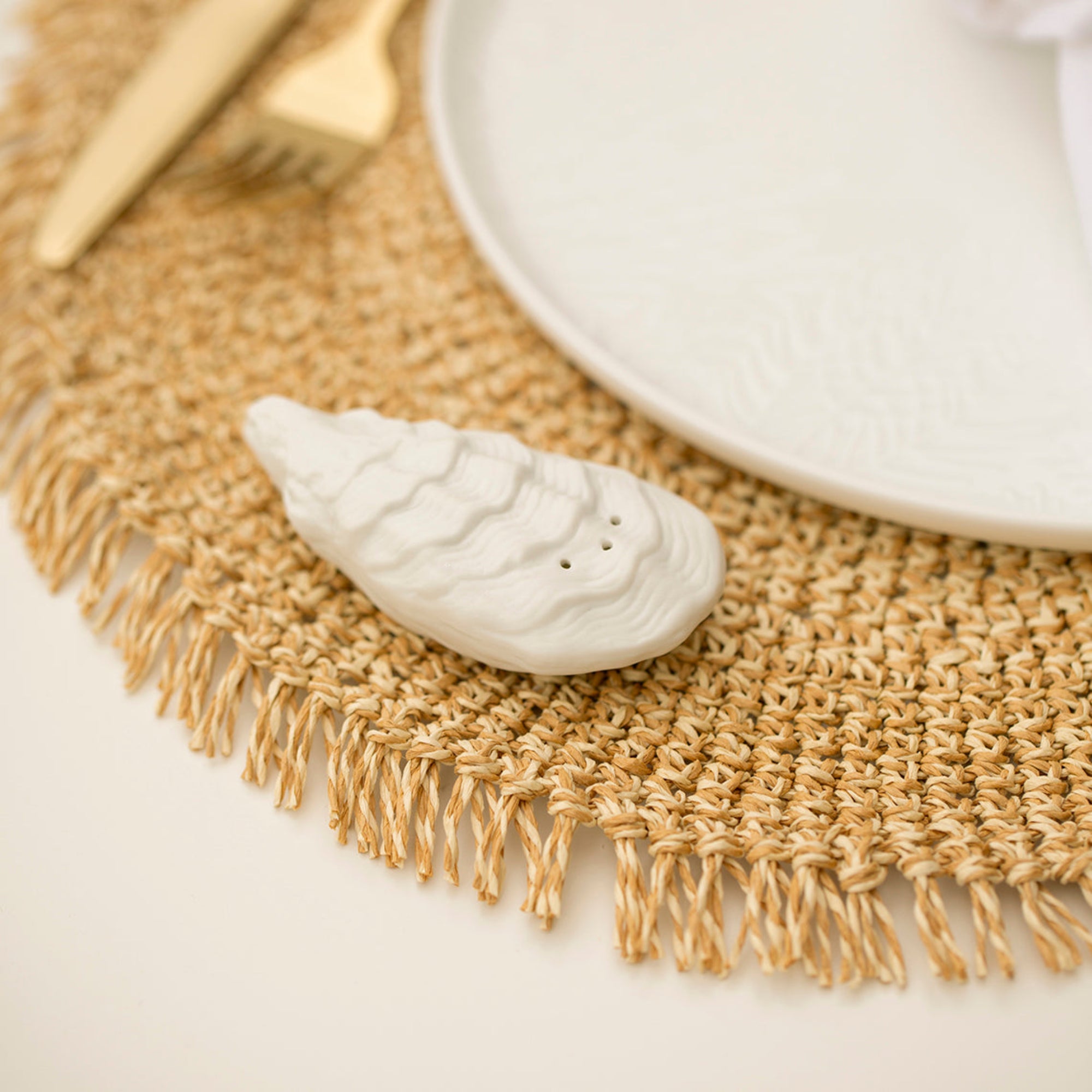 Porcelain Coastal Oyster Salt Shaker Set on a table placemat