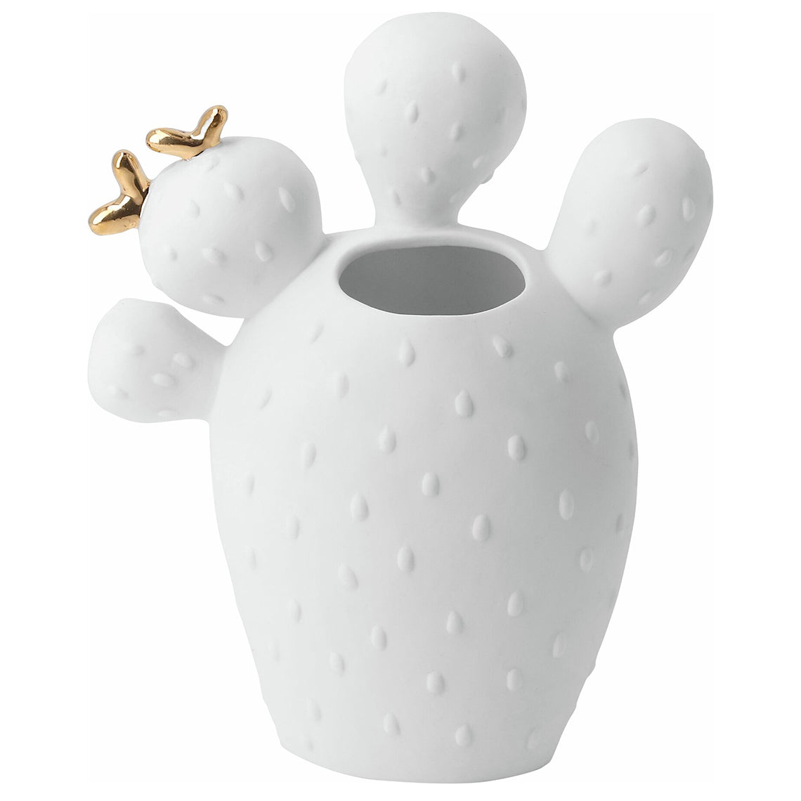 R17568 Prickly Pear Cactus Vase on white background